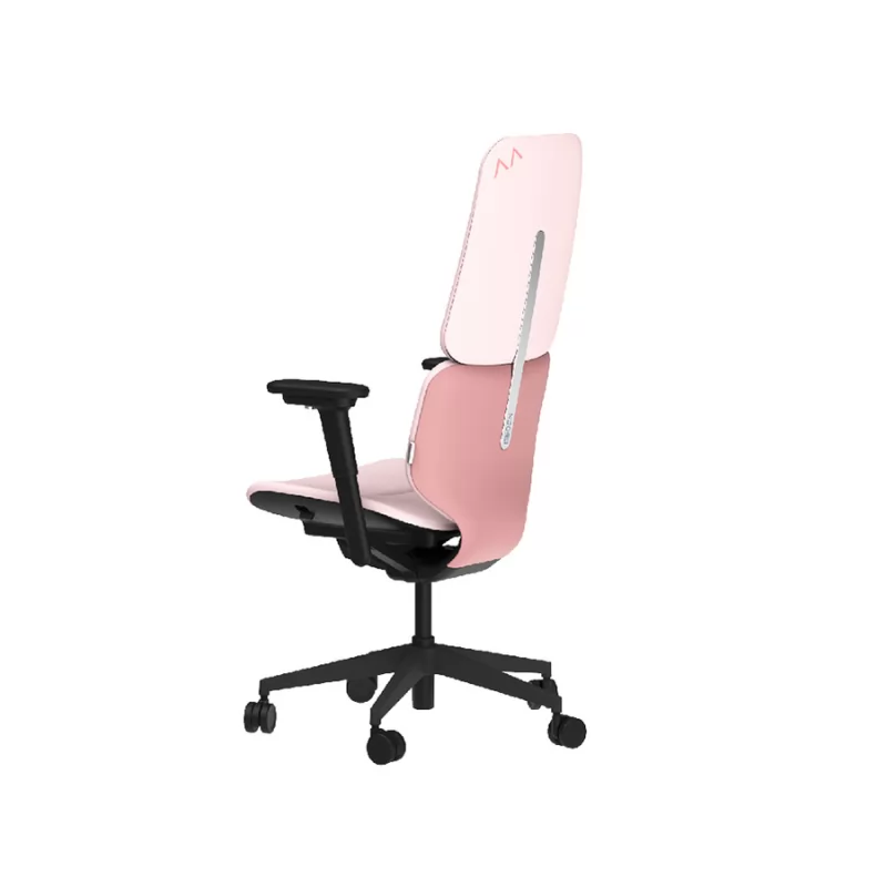 ZUOWE Pink Ergonomic Office Chair with Lumbar Support Pillow